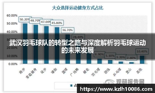 武汉羽毛球队的转型之路与深度解析羽毛球运动的未来发展